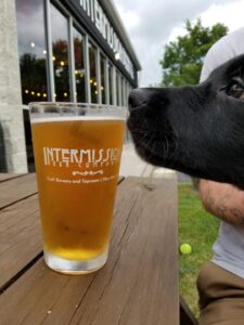 Intermission beer treats for dogs